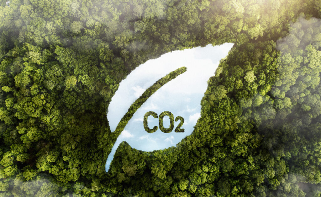 Accountant using carbon ledger software to track emissions and generate sustainability reports